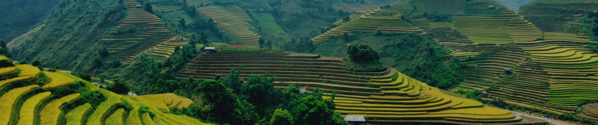 Vietnam destination photograph from Localrent